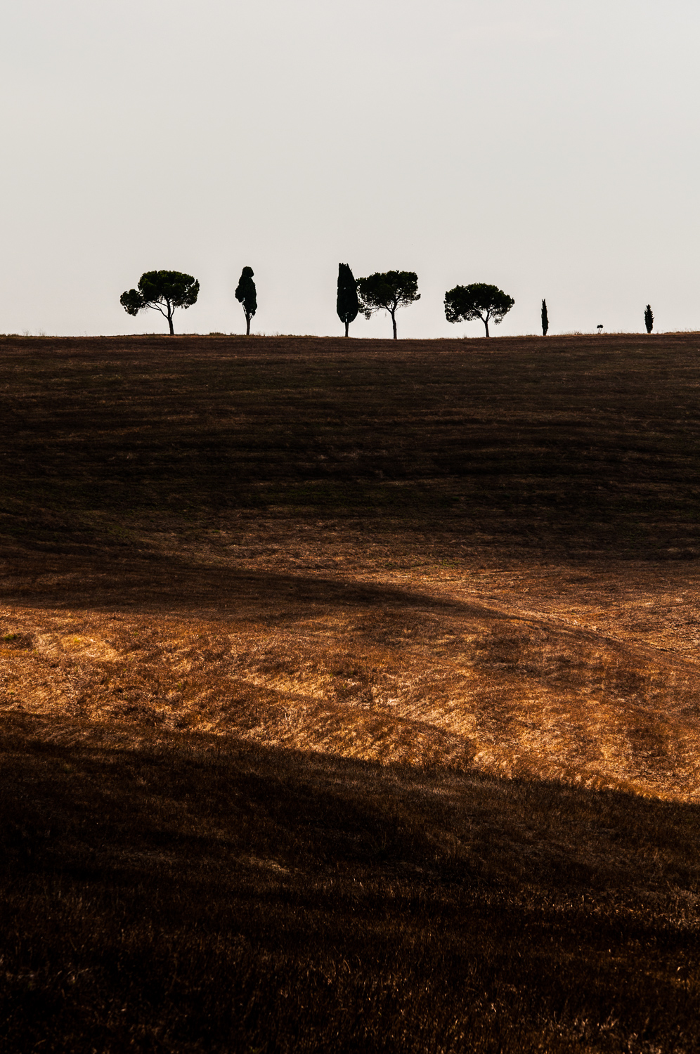 Toscane