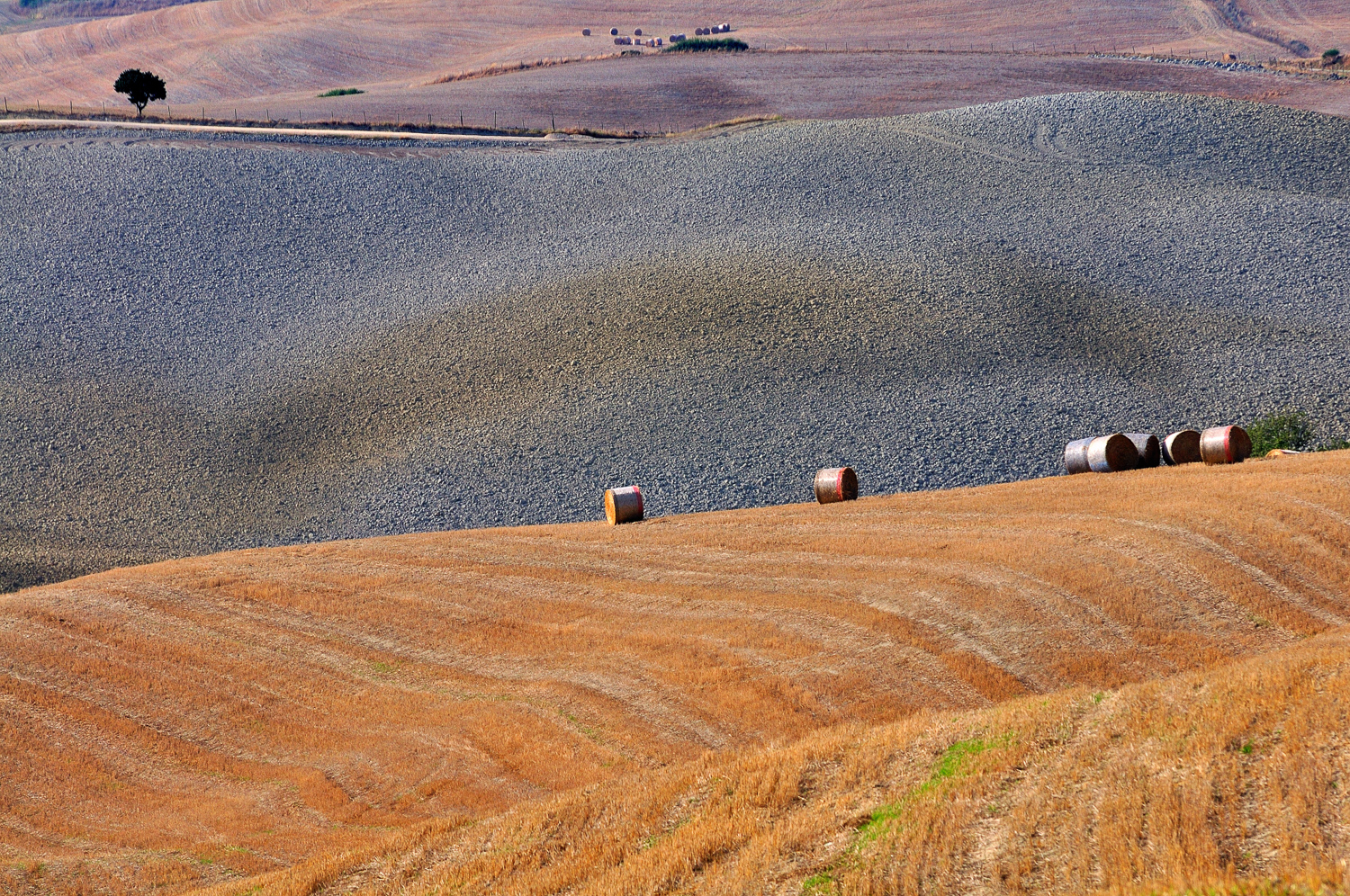 Campagne autour de Pienza