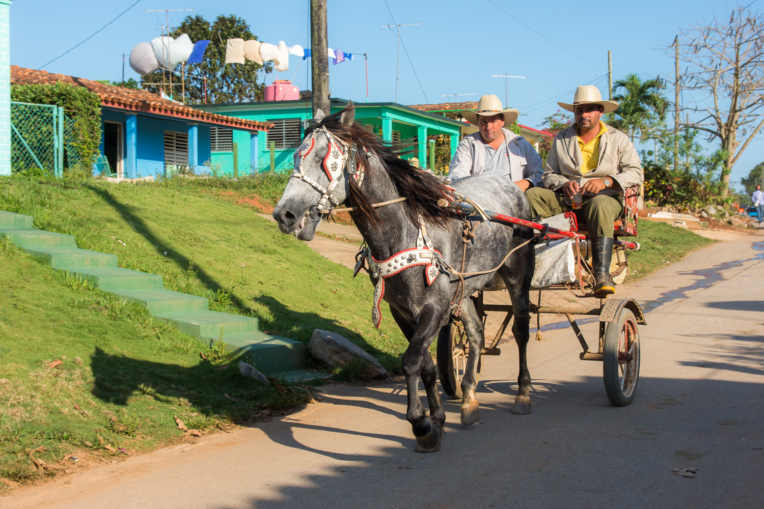 Cuba - Viñales