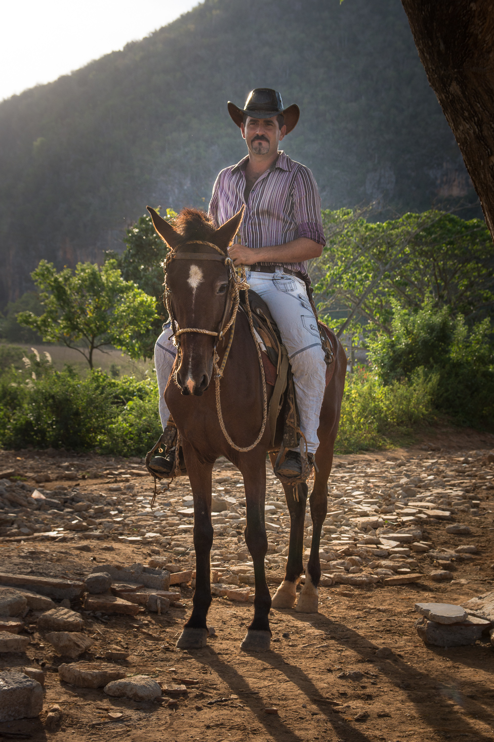 Cuba - Viñales