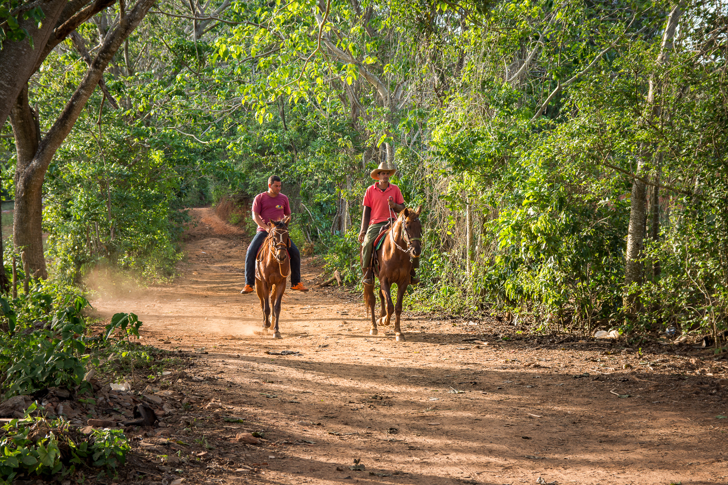 Cuba - Viñales