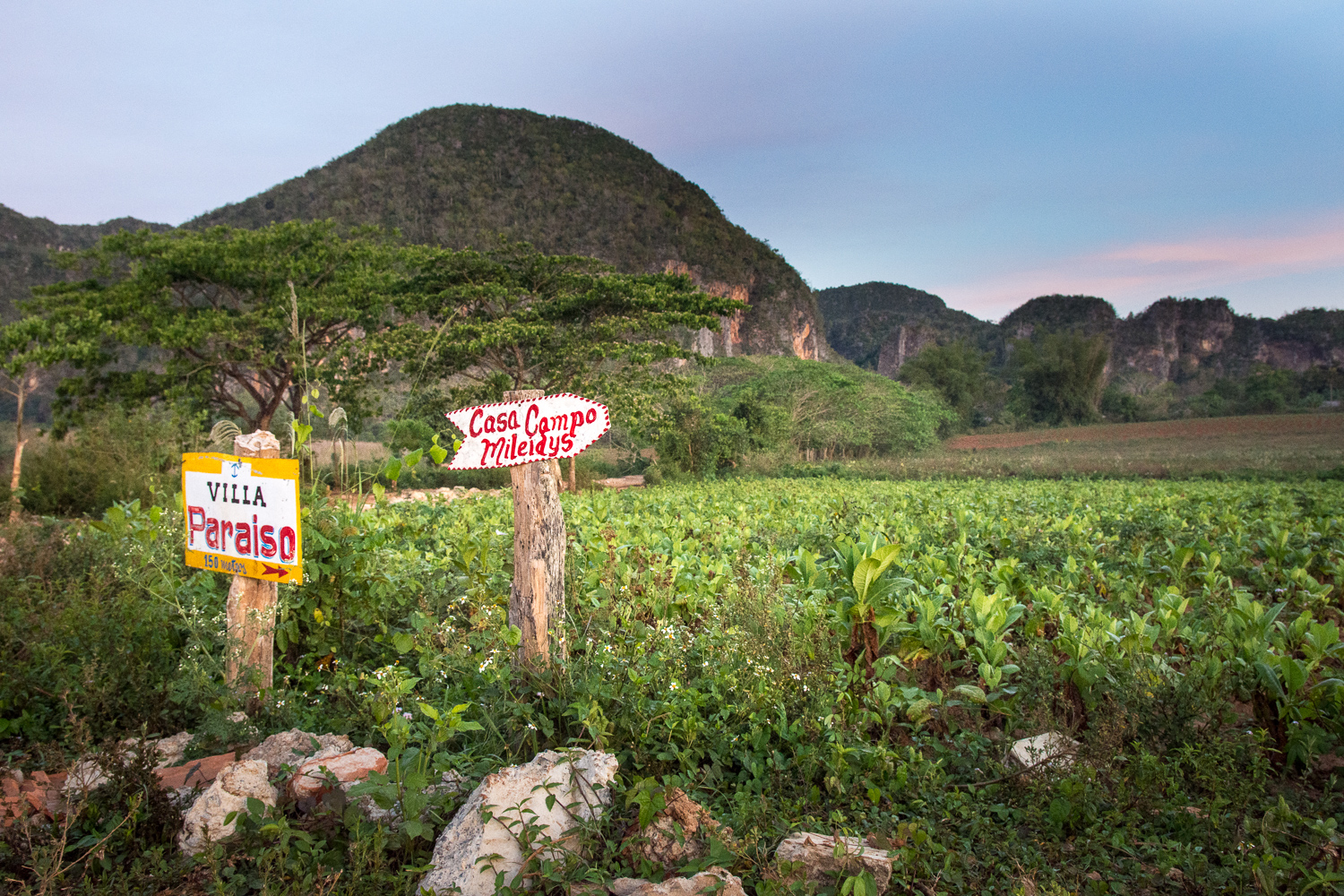 Cuba - Viñales