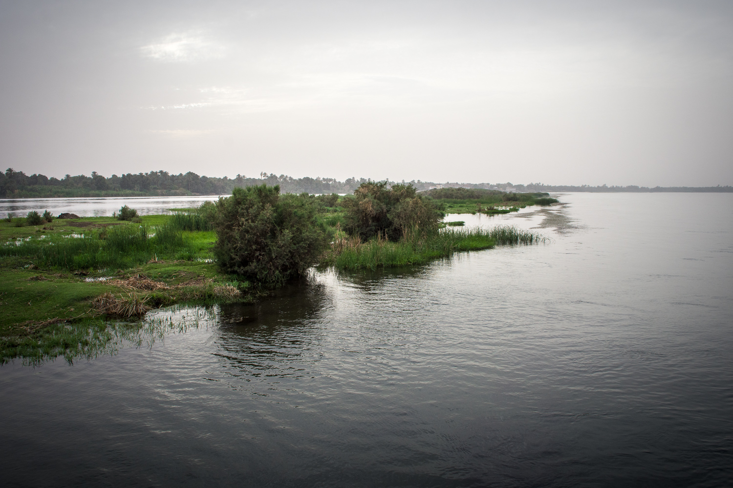 Les rives du Nil