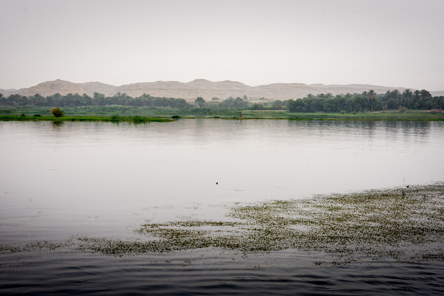 Les rives di Nil