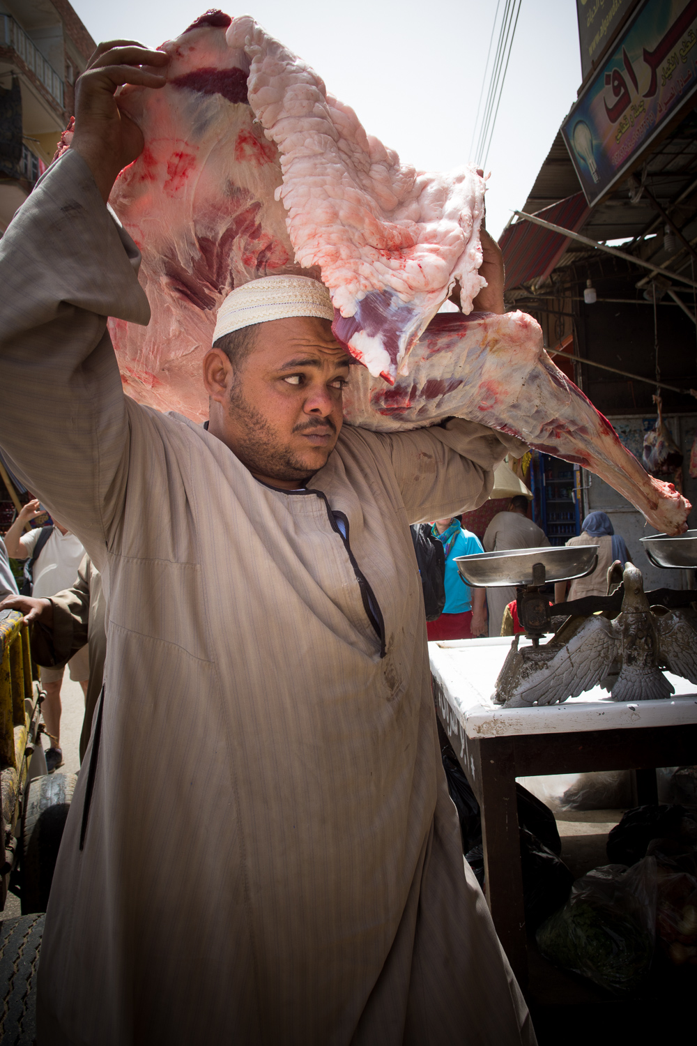 Livraison de la viande de dromadaire