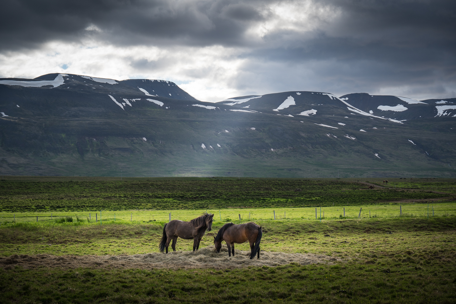 Skagafjörður