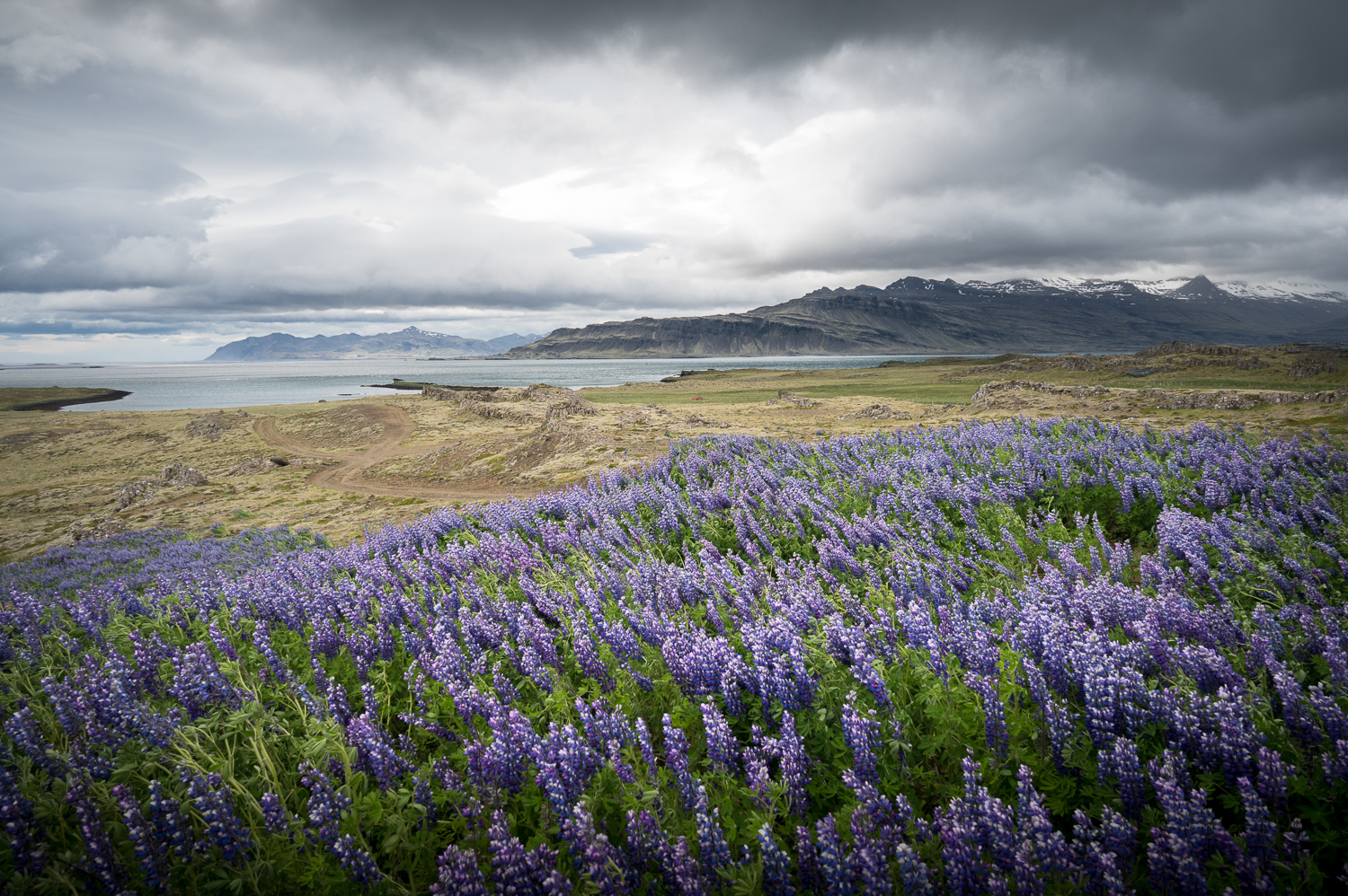 Fjord de Breiðdalsvík