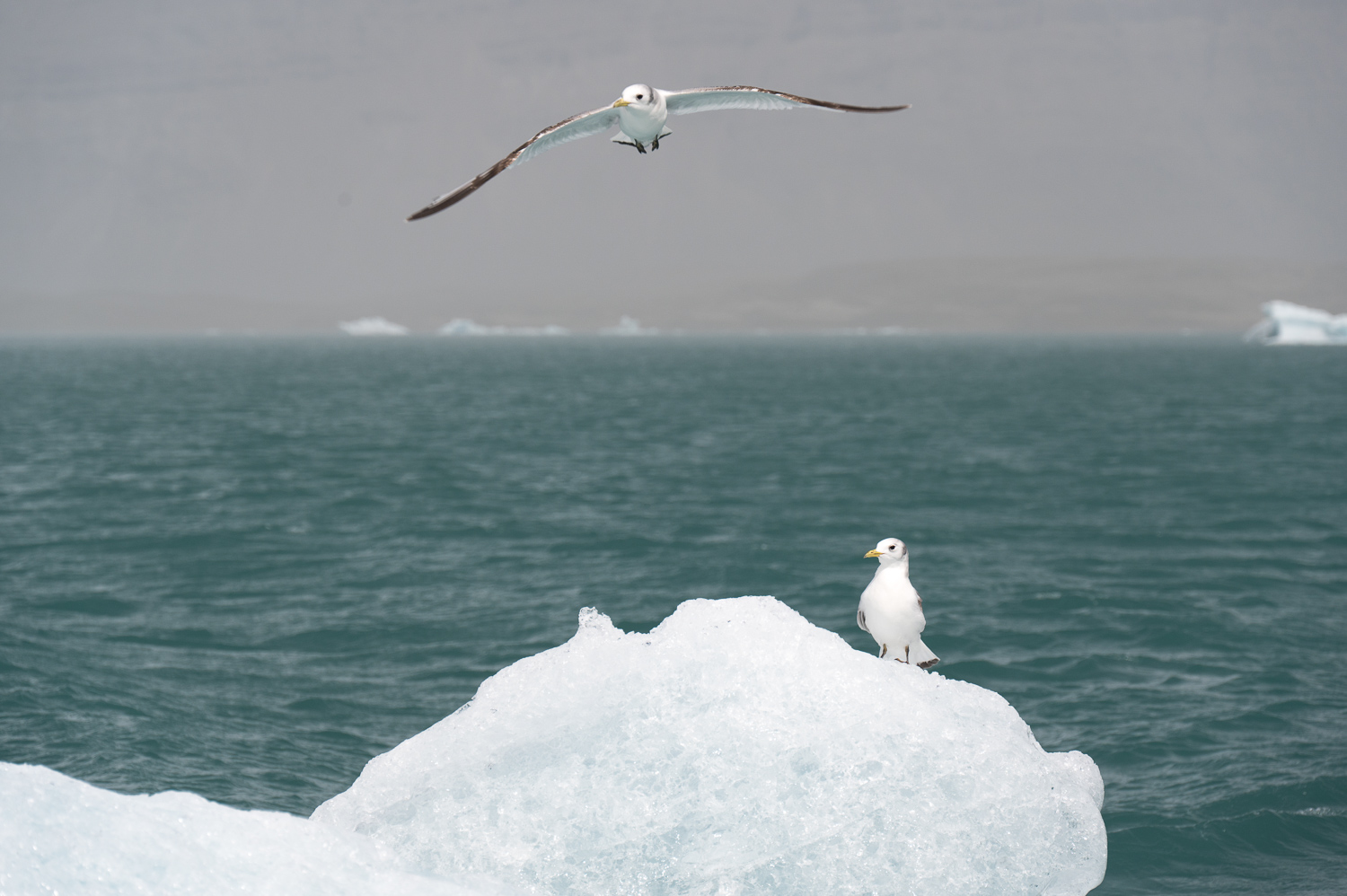 Jökulsárlón Glacier