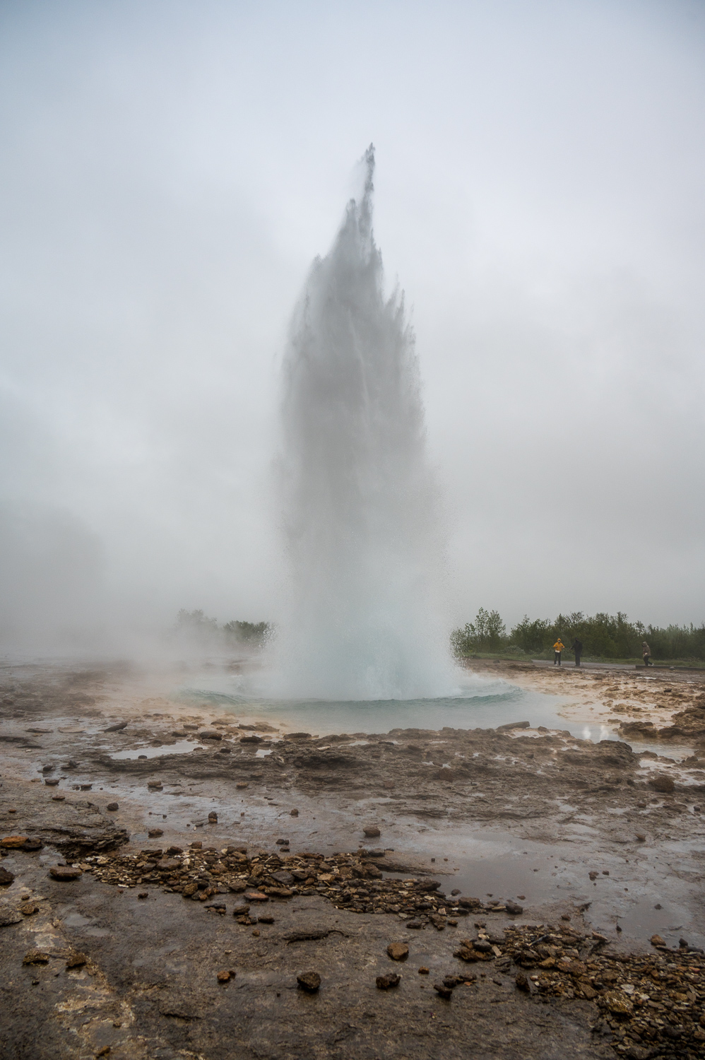 Geysir