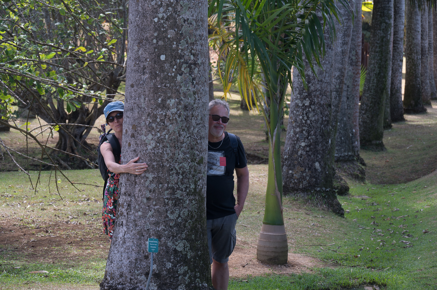 Martinique