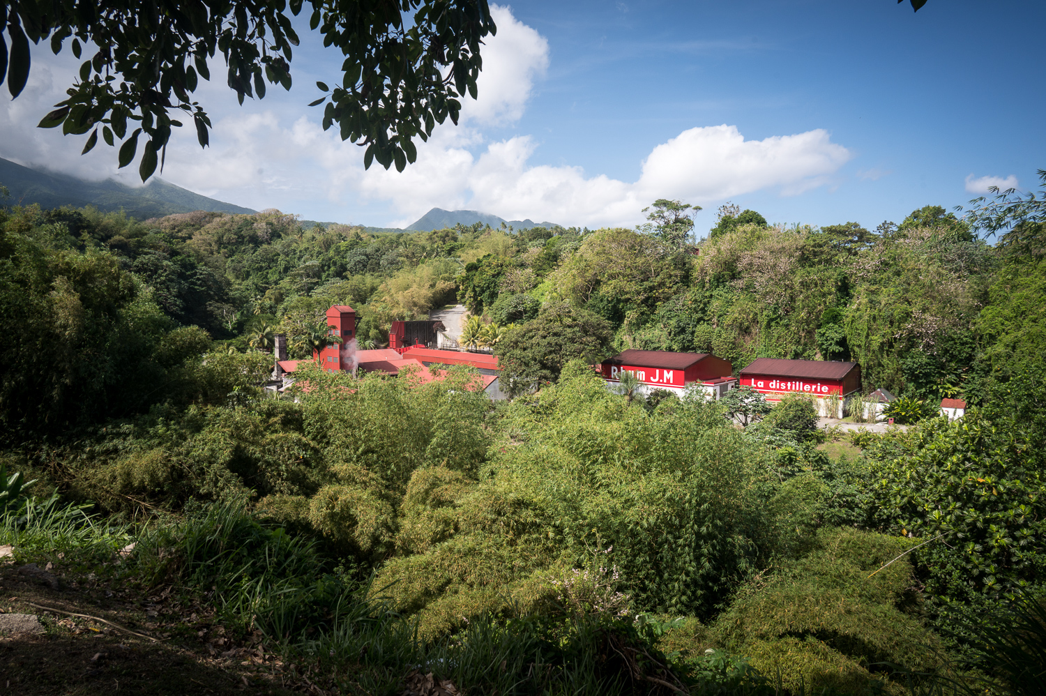 Martinique