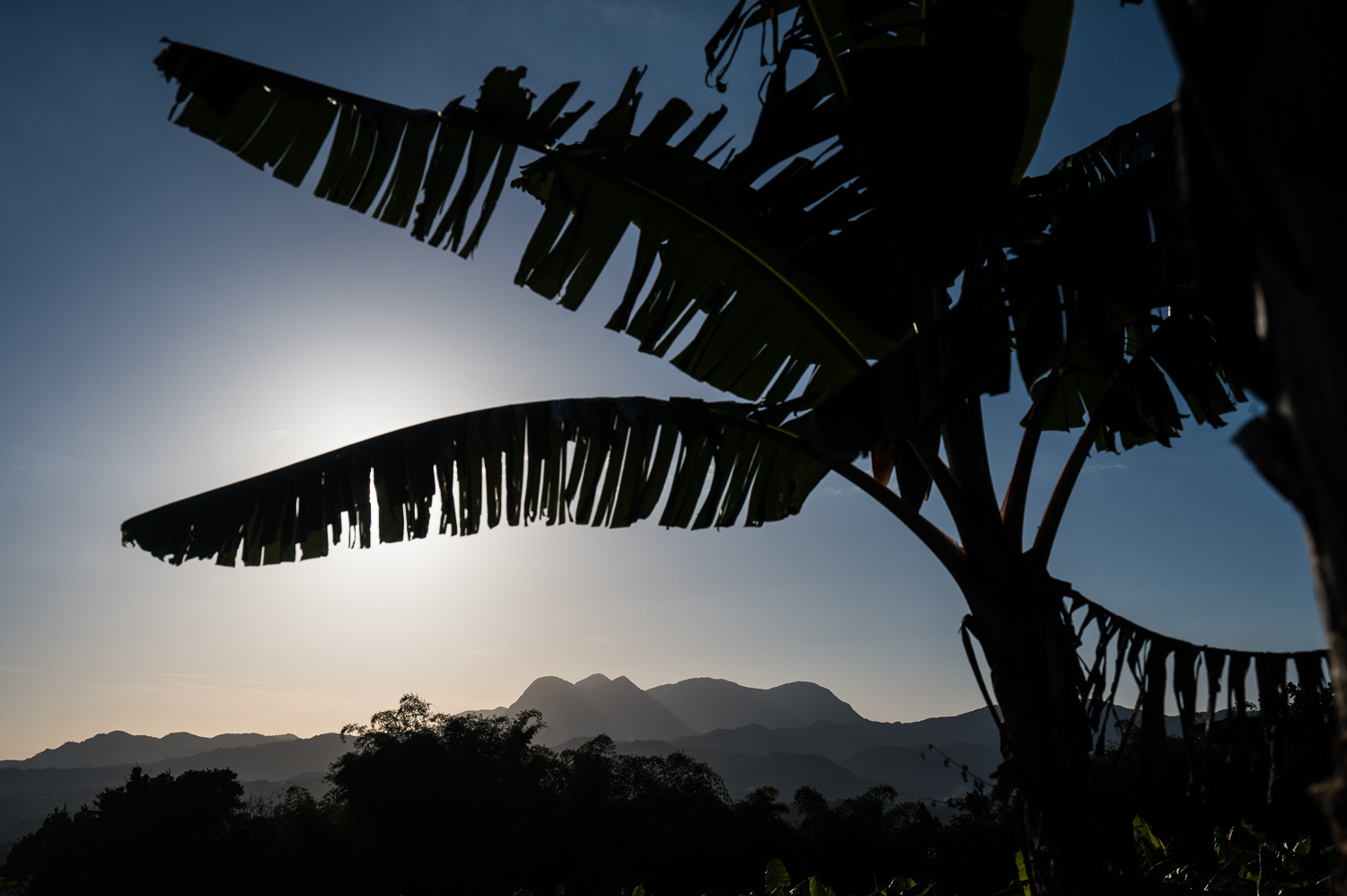 Martinique