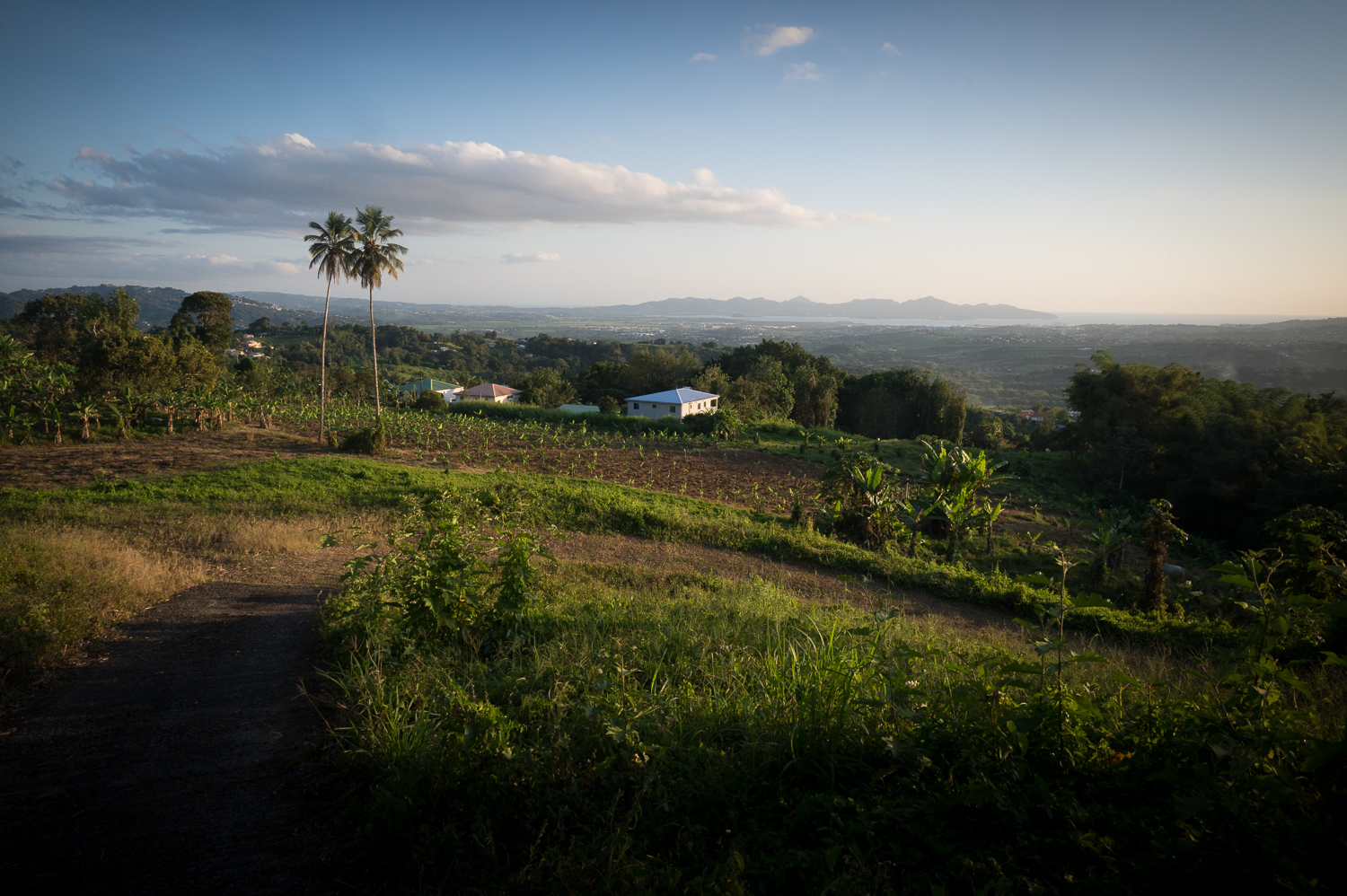 Martinique