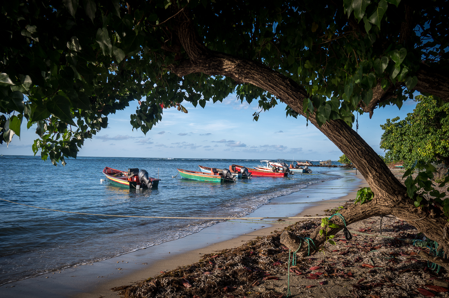 Martinique