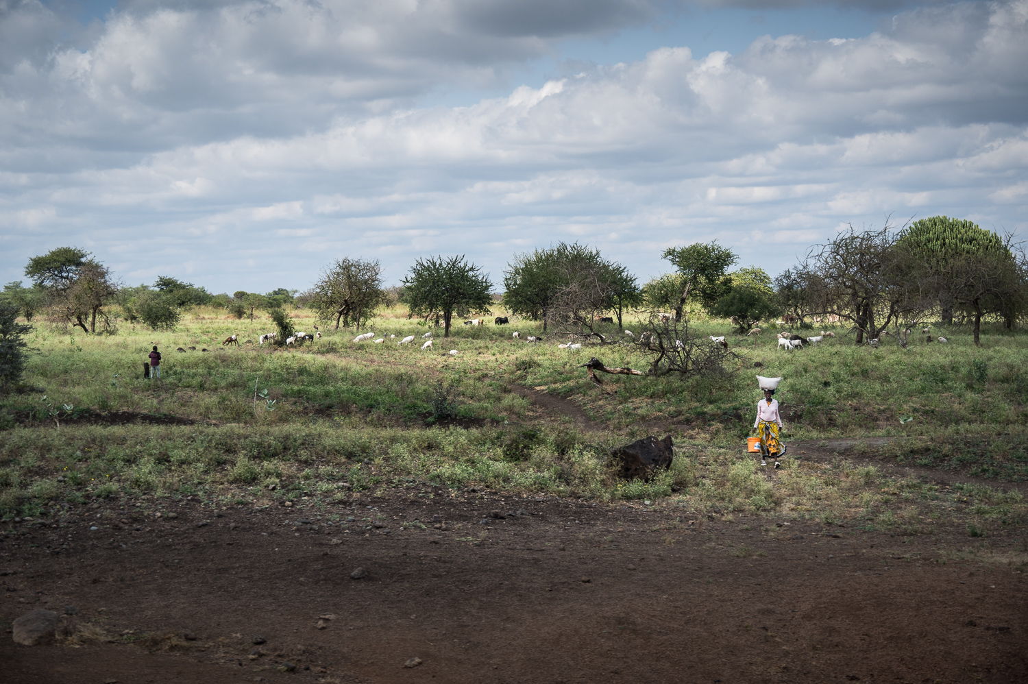 Tanzanie