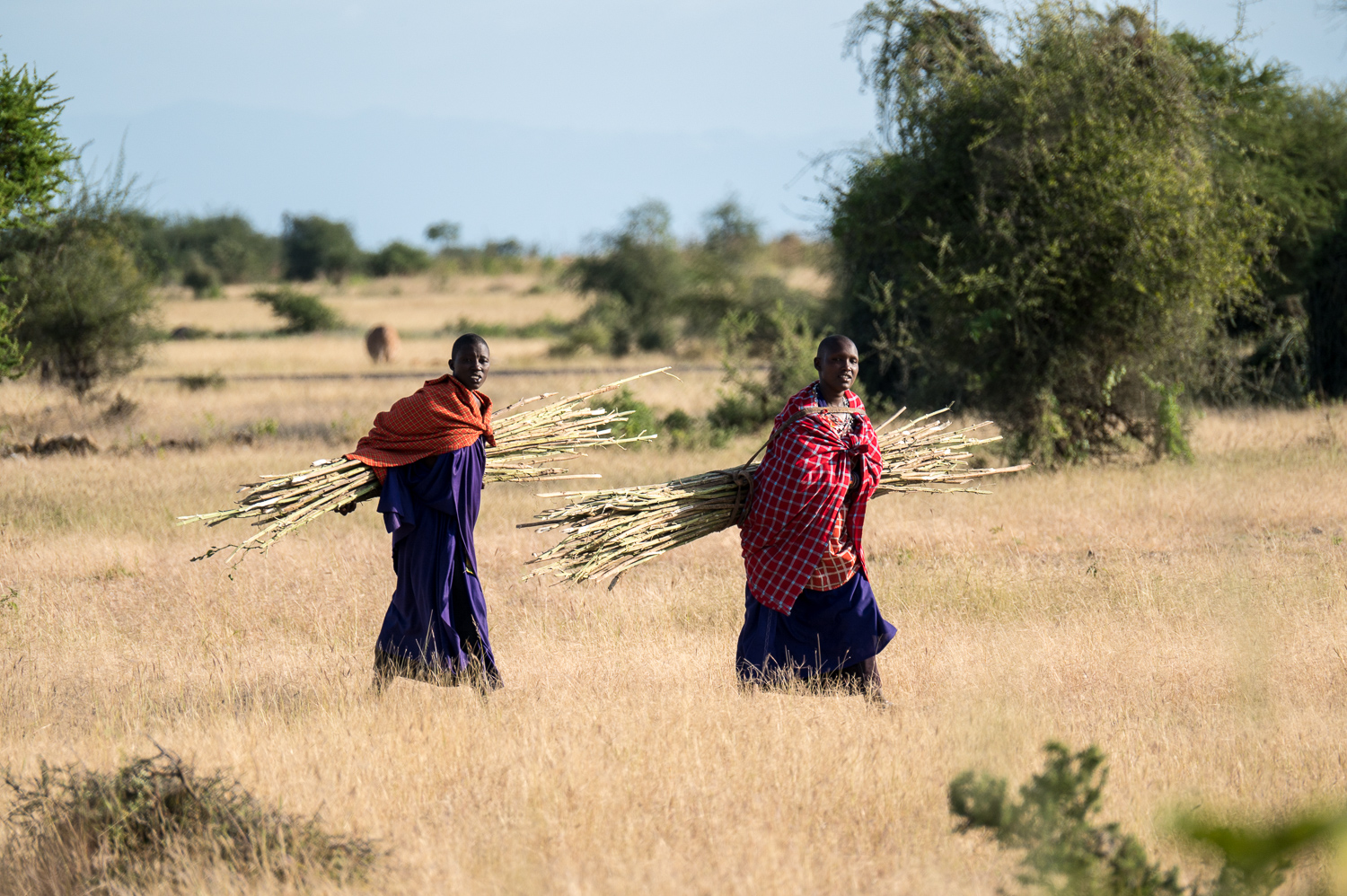 Tanzanie - Femmes Massaï