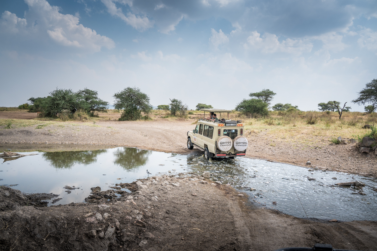 Tanzanie - Parc National du Serengeti