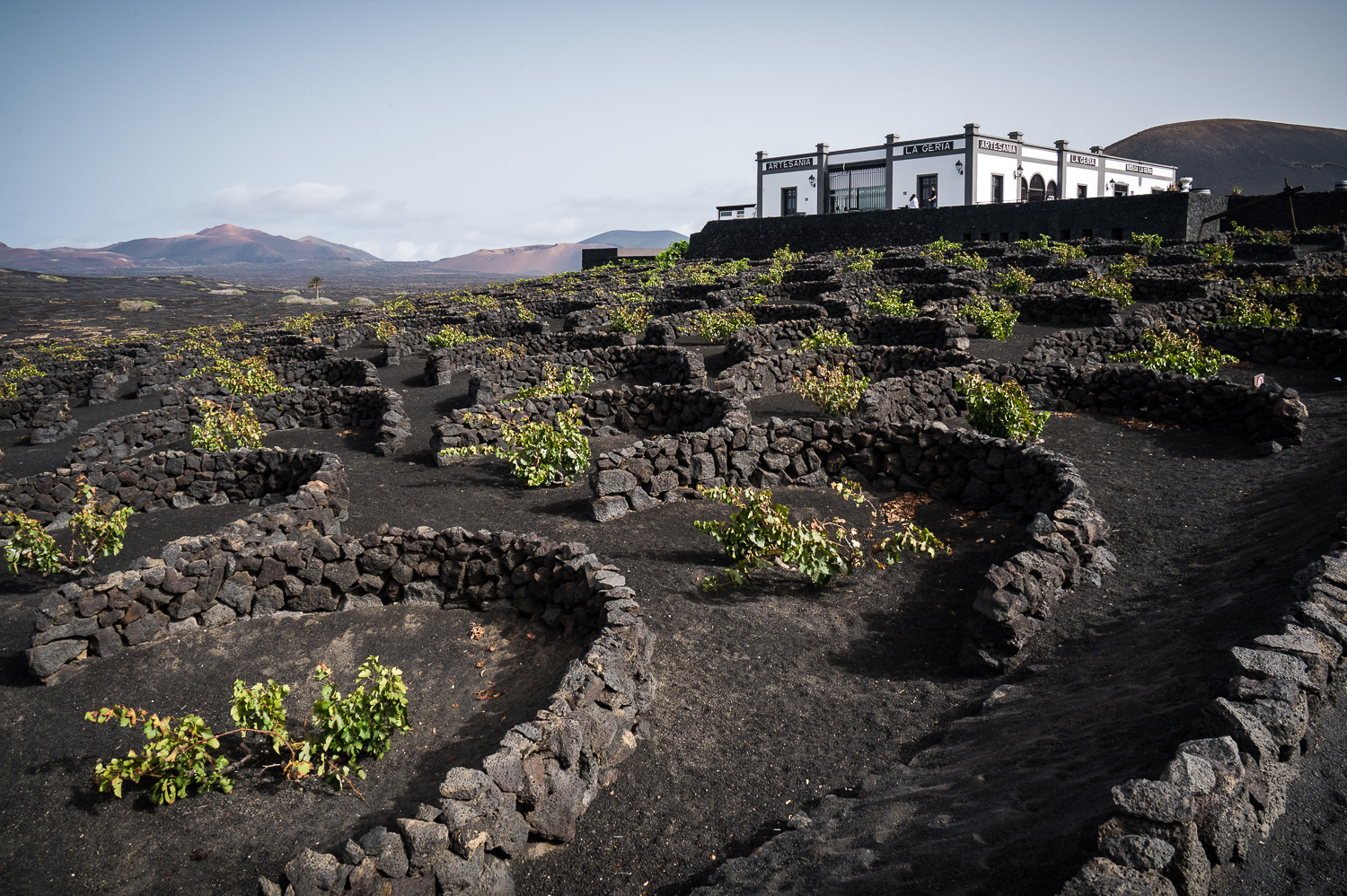 Région viticole de La Geria
