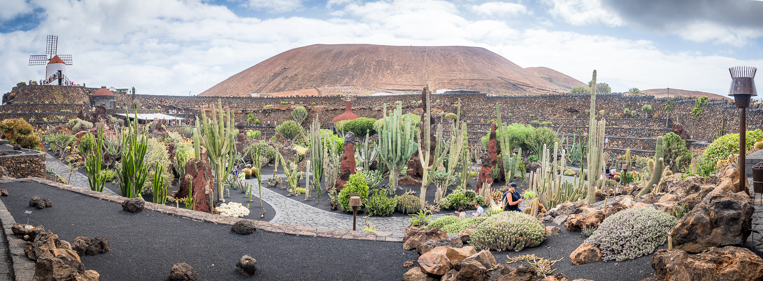 Jardin de Cactus