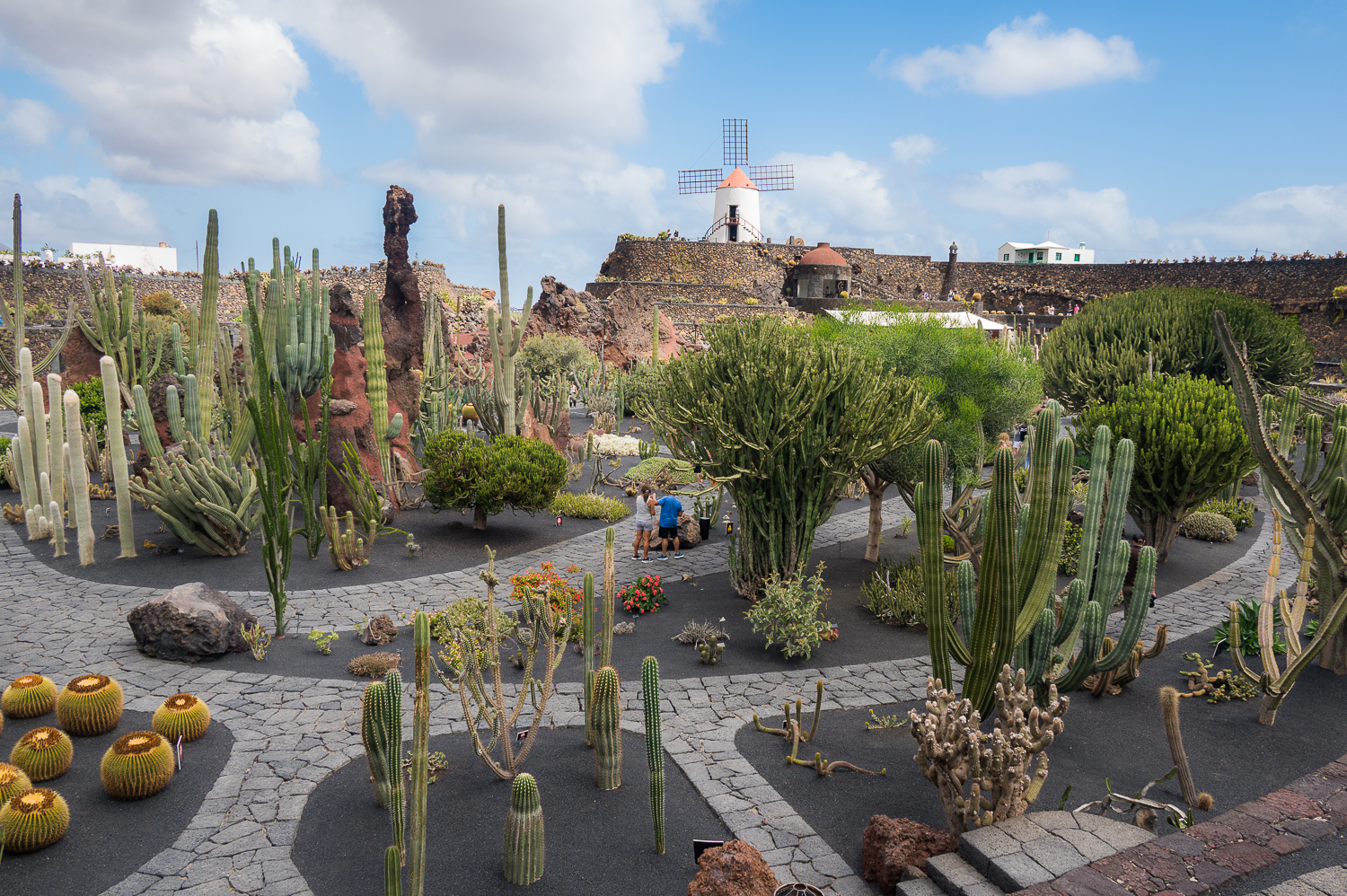 Jardin de Cactus