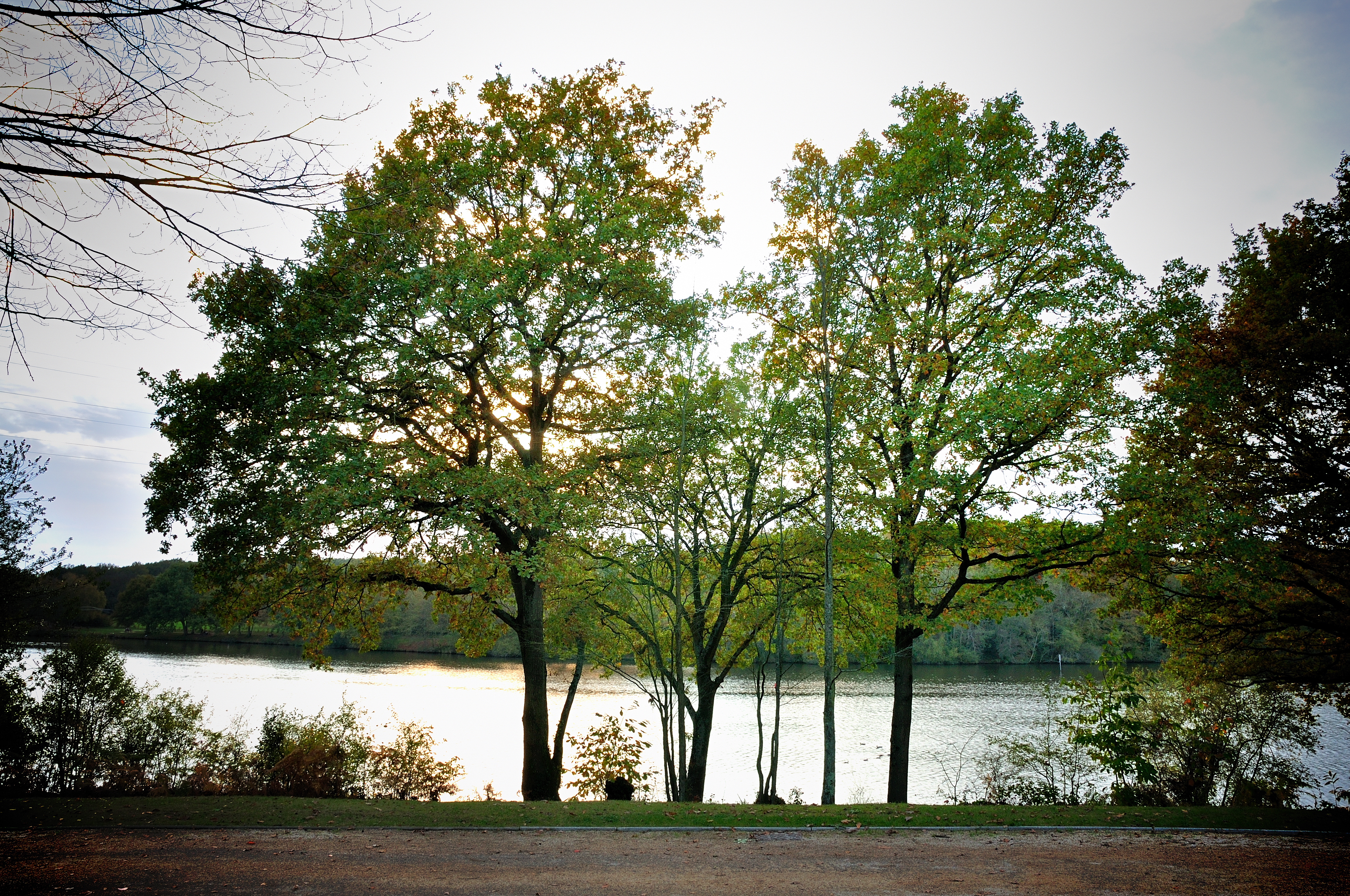 Nantes - Erdre